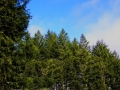 DSCN3039.JPG