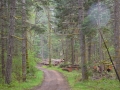 DSC_0409.JPG