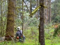 DSC_0441-Cutting4.jpg