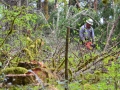 DSC_0453-Cutting6.jpg