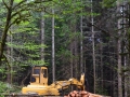 DSC_0466-Pretty-hardwoods-logdeck.jpg