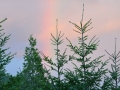 DSC_0987.JPG