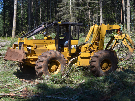 logging services